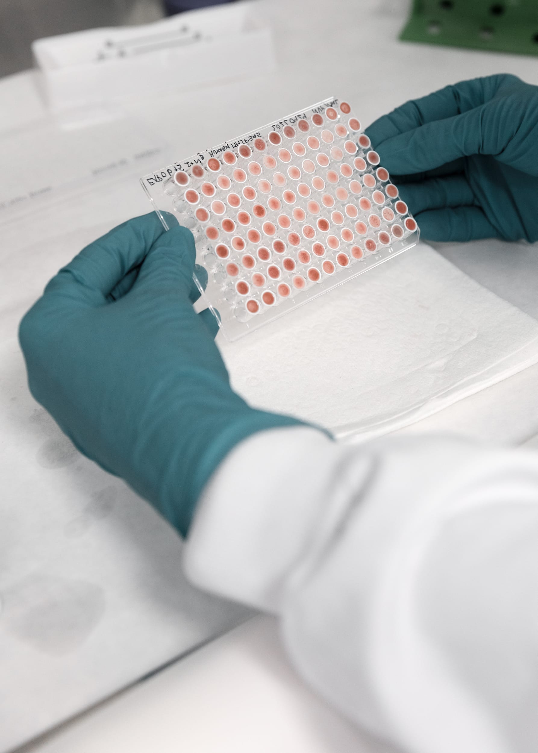 Evaxers working in laboratory