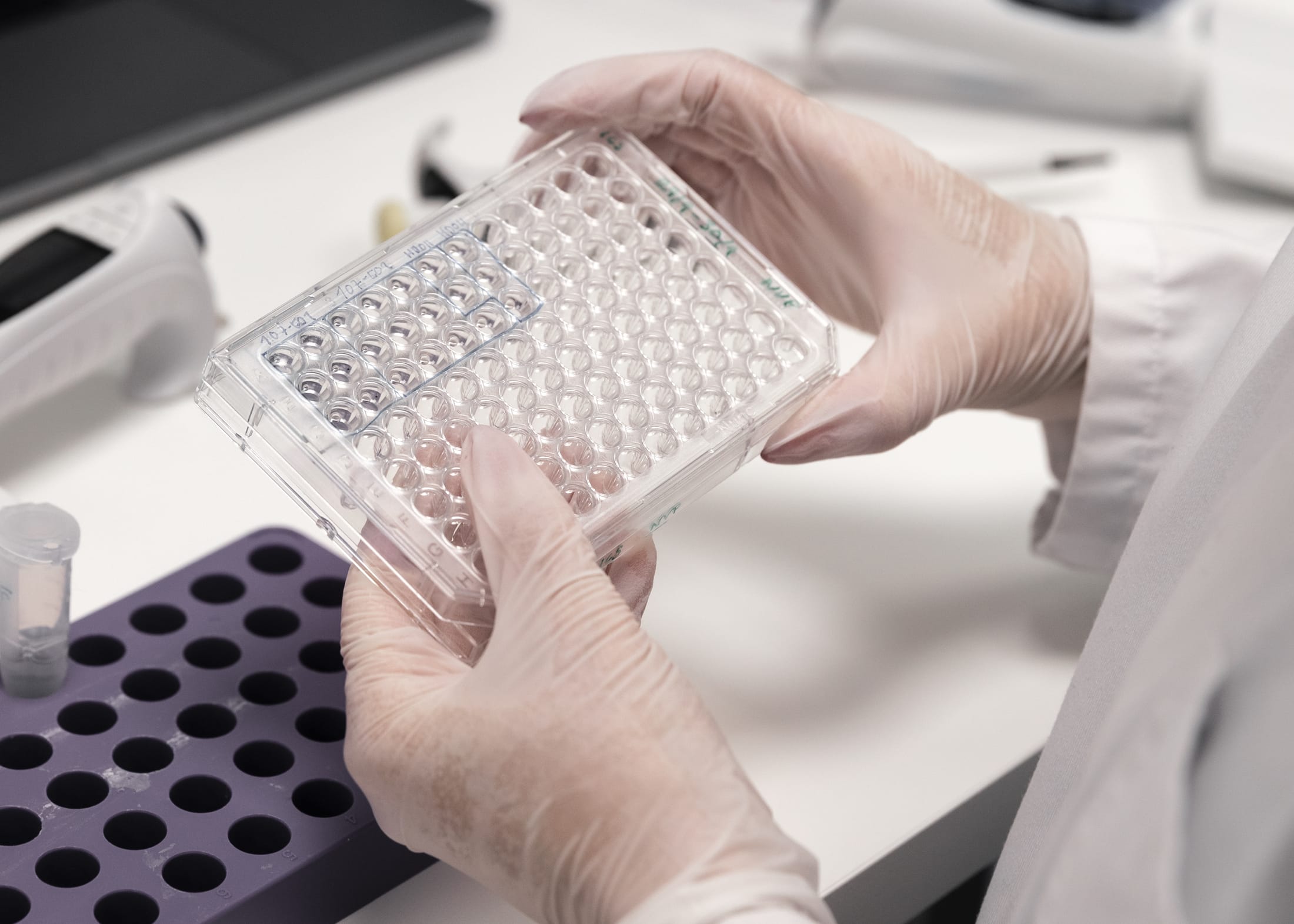 Evaxers working in laboratory